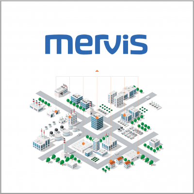 mervis_2021_handout.png
